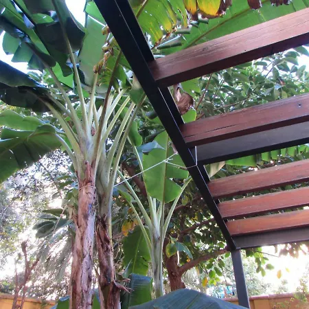 Apartman Vivienda Diseno Con Jardin Interior