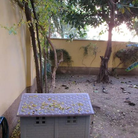 Vivienda Diseno Con Jardin Interior
