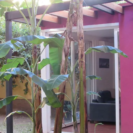 Apartman Vivienda Diseno Con Jardin Interior *
