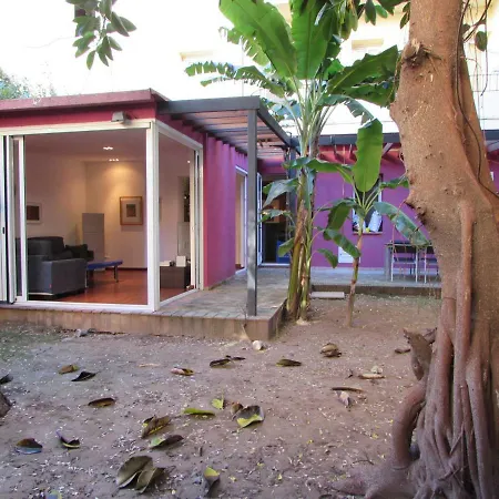 Vivienda Diseno Con Jardin Interior * Valencia