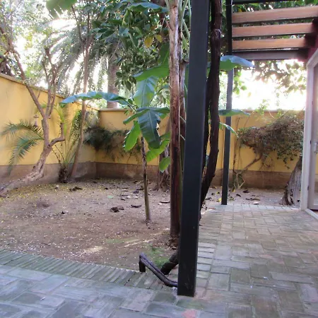 Vivienda Diseno Con Jardin Interior * Valencia