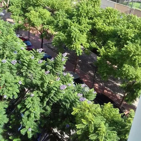 アパート On Carrer Del Dr. Lluch