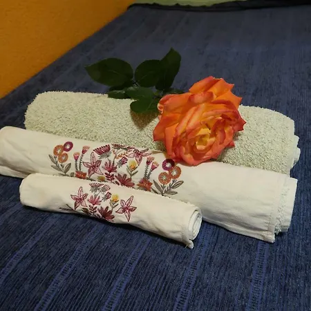 Olympia Flats Homestay Valencia