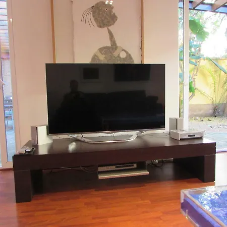 Vivienda Diseno Con Jardin Interior *
