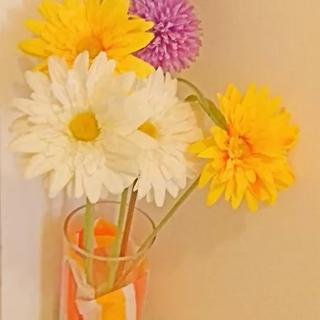 On Carrer Del Dr. Lluch アパート *