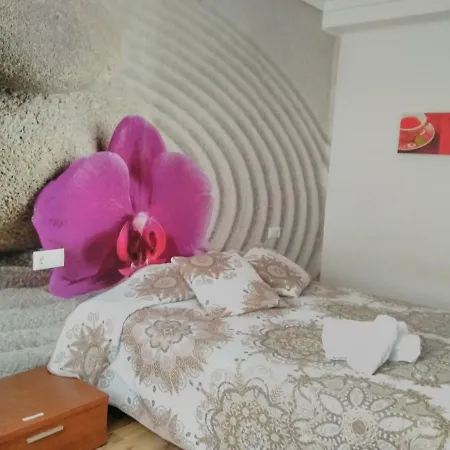 Homestay szállás Zen House Valencia