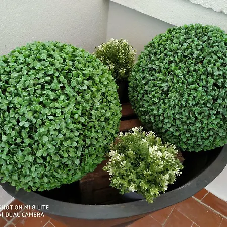 Apartment 12 Carrer Del Bisbe Valencia