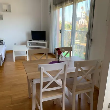 Maestro Rodrigo Apartment Valencia