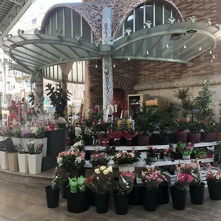 Apartment Garden Turia Downtown *
