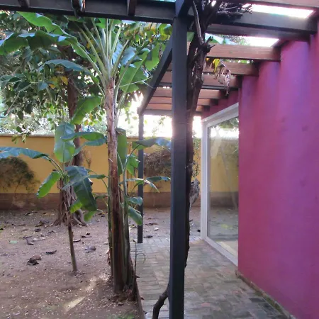 Vivienda Diseno Con Jardin Interior *