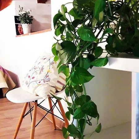 Apartment Preciosos En El Carmen Valencia