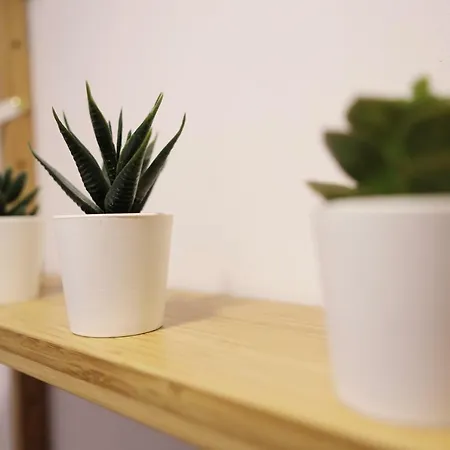 Apartment Dormavalencia *