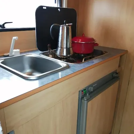 Experiencia De Acampada Kemping