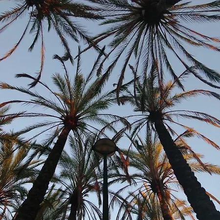 Luxury Appartement Valencia