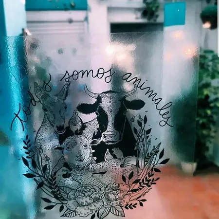 La Casa Del Colibri Youth (adults Only) 호스텔 발렌시아