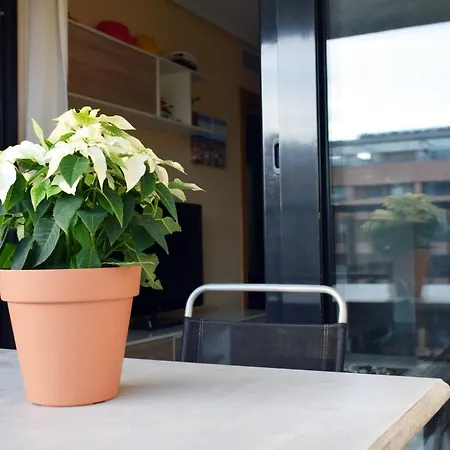 Apartament Apartacona-playa *