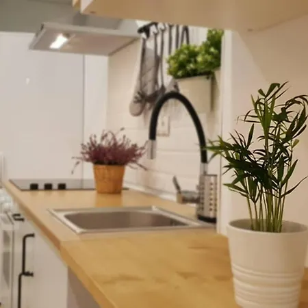 Moderno Loft Abuhardillado Valencia-centro Valencia