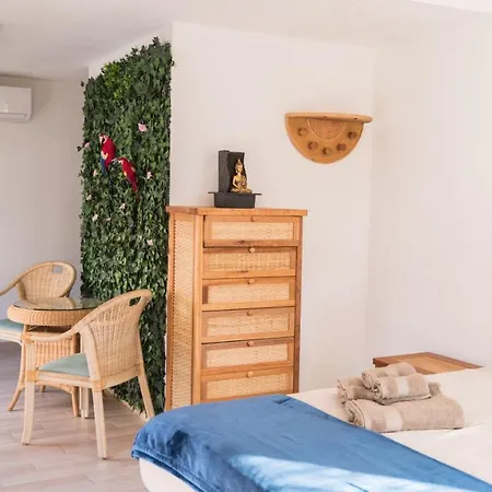 Banana Patacona Bed & Breakfast Alboraia
