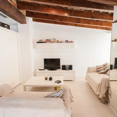 Atico Calle Tapineria Apartmán *