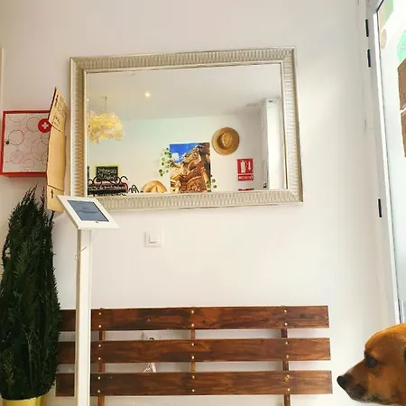 La Casa Del Colibri Youth (adults Only) 호스텔 *