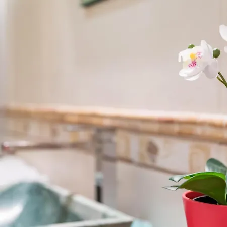 Travel Habitat Plaza De La Virgen Apartamento