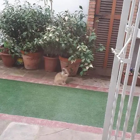 Individual Tranquila En Valencia, Con Amplia Terraza Para Mascota Casa de hóspedes Valência