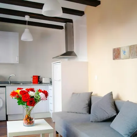 Appartement Down Town Valence