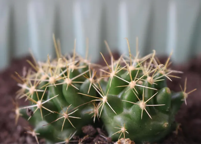 Δωμάτια σε οικογενειακή κατοικία New In The *