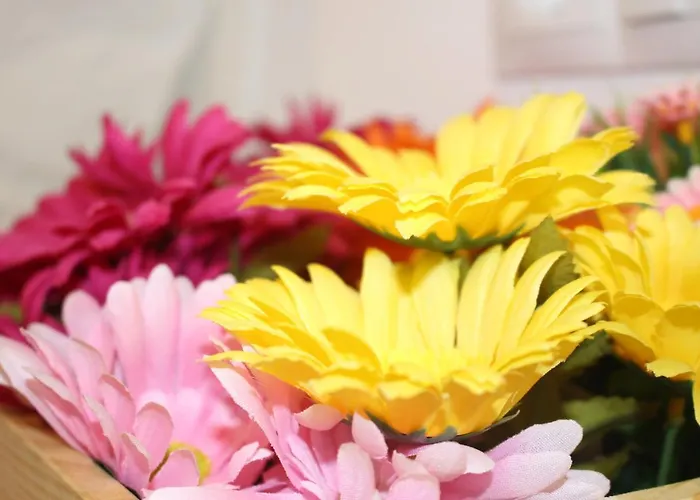 New In The Δωμάτια σε οικογενειακή κατοικία Βαλένθια