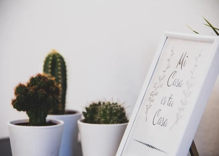 Renovado Y Sofisticado En El Centro De Apartment Valencia