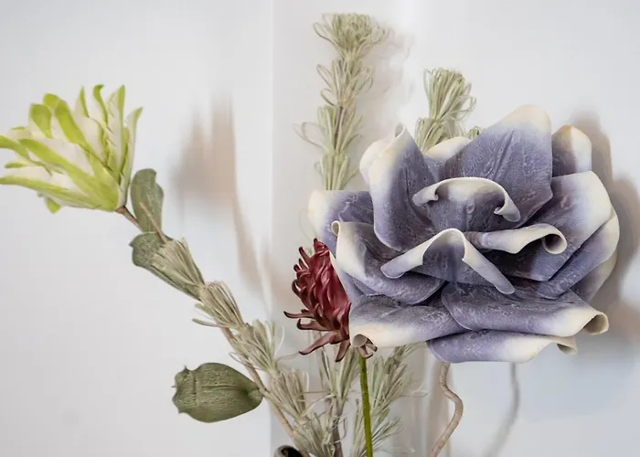 Διαμέρισμα Versus Center Βαλένθια