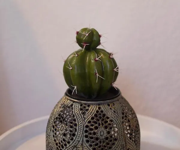 아파트 Tranquilo Y Acogedor En El Centro De La Ciudad