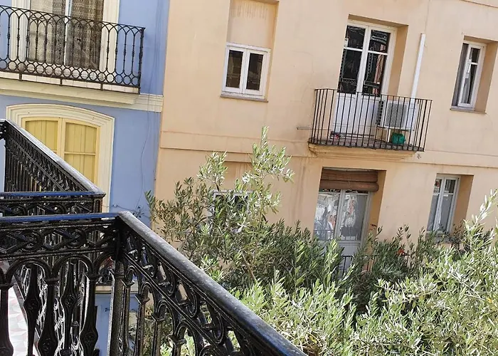 L'arbre فالنسيا