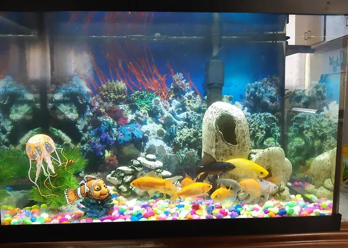 Pansiyon San Cayetano Valensiya