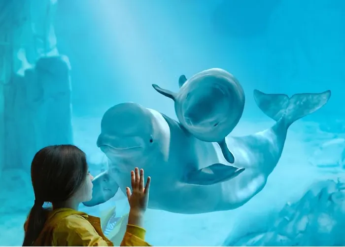 Jl Ciudad De Artes Διαμέρισμα *