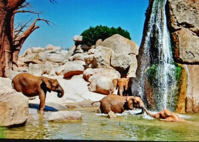 Διαμέρισμα Duplex Near Center Lovely Βαλένθια