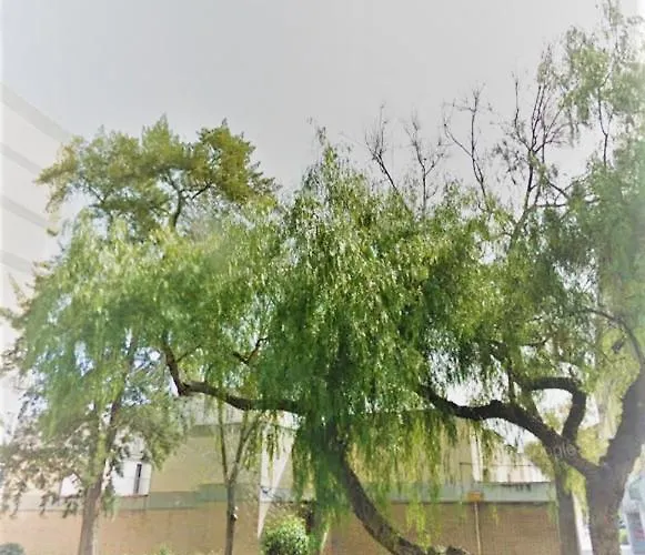 Διαμέρισμα Duplex Near Center Lovely *