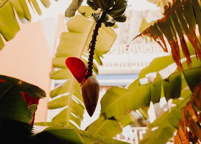 펜션 La Casona House *