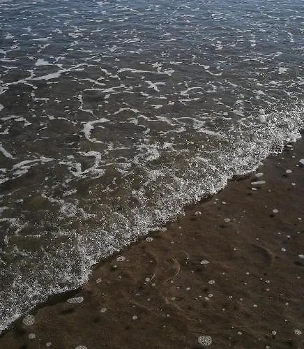 Malvarrosa アパート