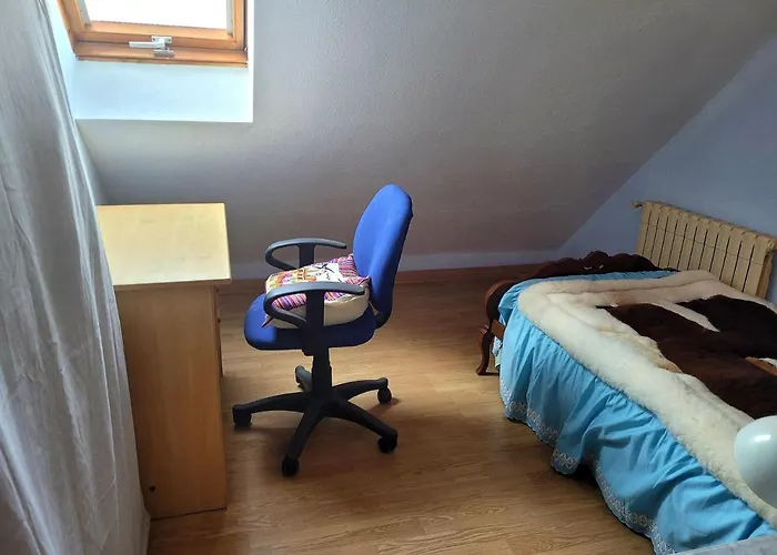 Palau 2 발렌시아