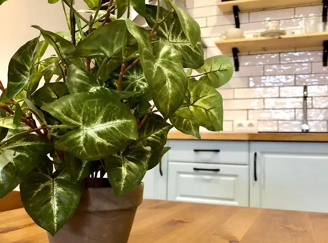 Casita Privada Con Encanto En La Playa De 발렌시아