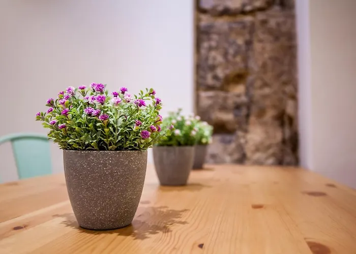 아파트 Lovely Duplex In Old Town *