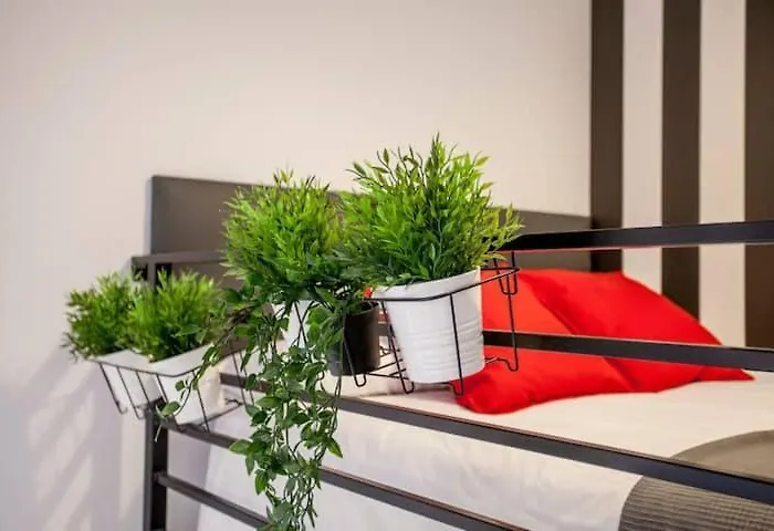 Cool Lofts Center 3* فالنسيا