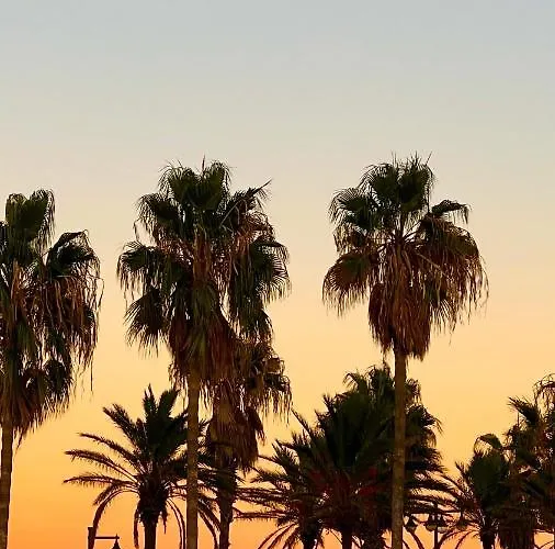 Turia San Pio V 아파트 *