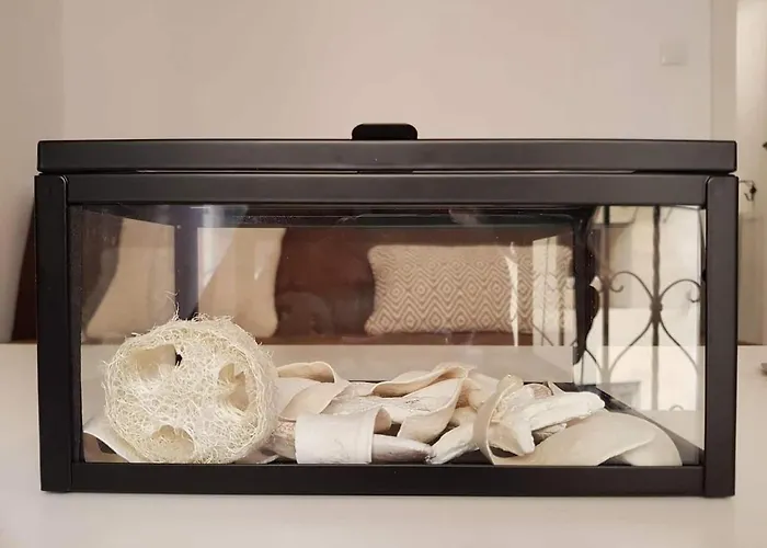 Cosy At The Cathedral With Wifi Διαμέρισμα Βαλένθια