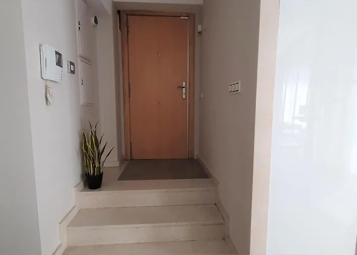 Balmes Street Valencia