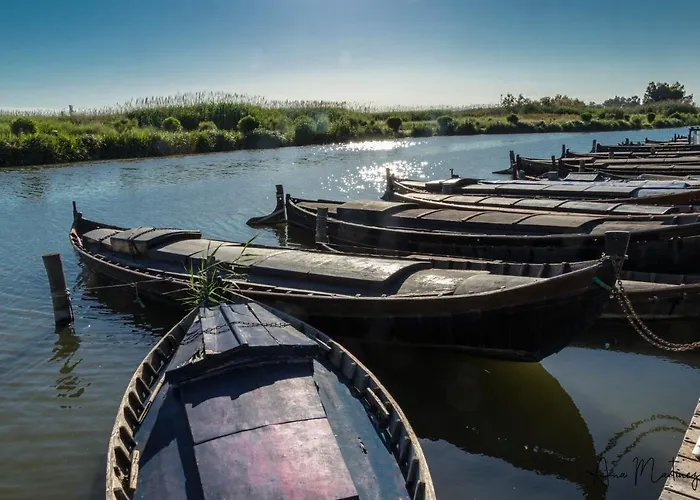 Appartement Luminoso. Comodo. Acogedor. Wifi. Junto A Ave *