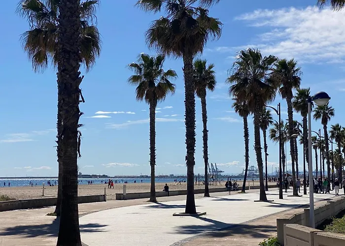 Avenida Mare Nostrum 7 Patacona Breakfast Items In The Valencia