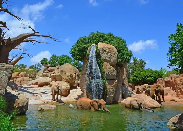 Διαμέρισμα Biohomevalencia Βαλένθια