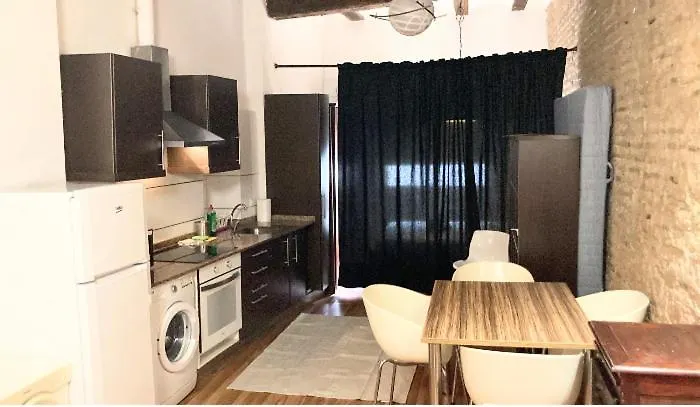 4 Loft Temporal En Ciutat Vella